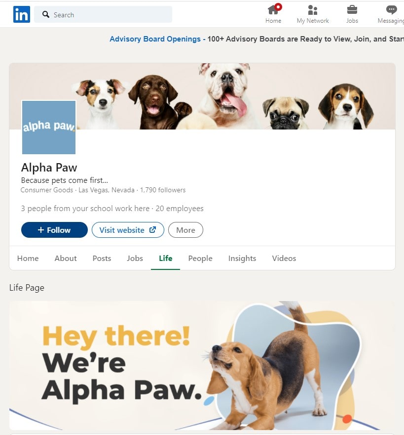 Alpha Paw LinkedIn Company Page